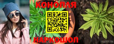 стаф Старая Купавна