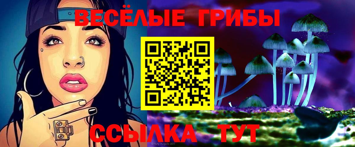 где купить наркоту  Псилоцибиновые грибы мухоморы  Вход с VPN  Полысаево 
